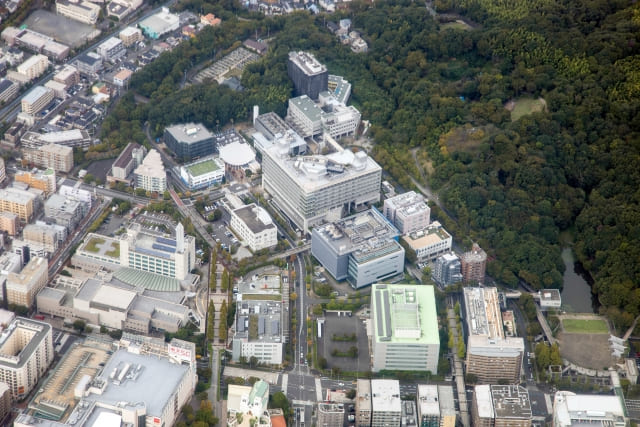 消化器内科医の医局離れと開業｜内視鏡クリニックの投資額と年収実態を解説